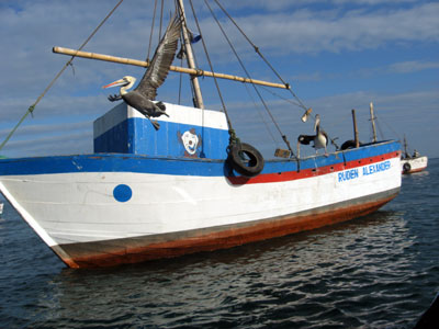 Ruta a Cabo Blanco
