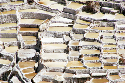 Maras