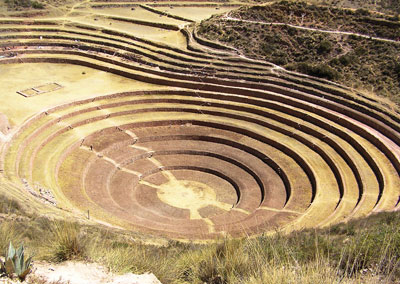 Moray