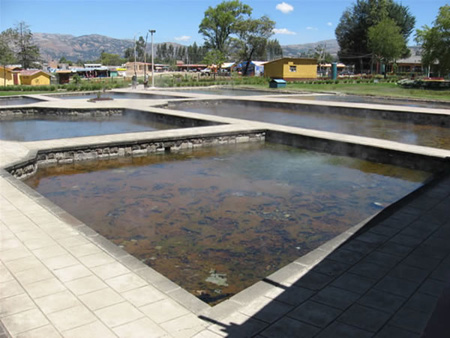 Los perolitos 3