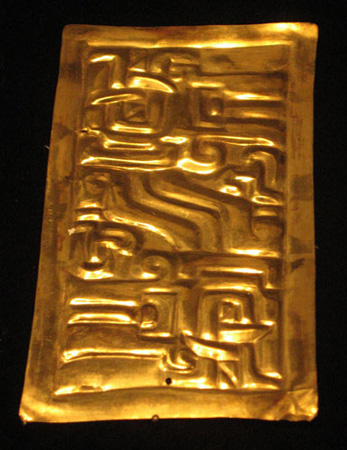 Placa-felino