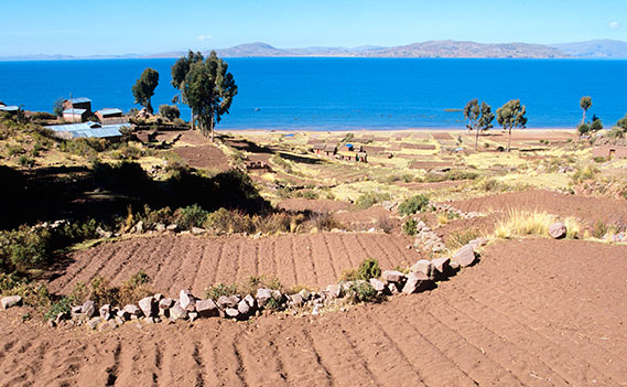 Titicaca Lake